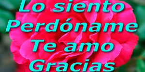 Ho'oponopono una técnica chamánica