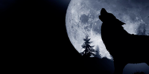 Luna de Lobo