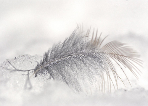 formación chamanismo sincrético