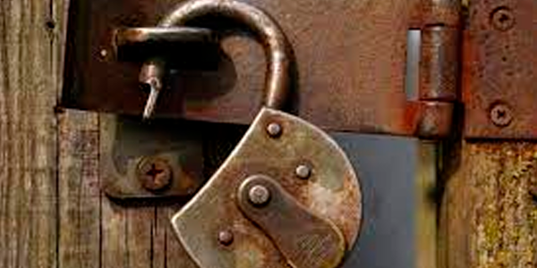 Desbloquea Tu Camino Perfecto