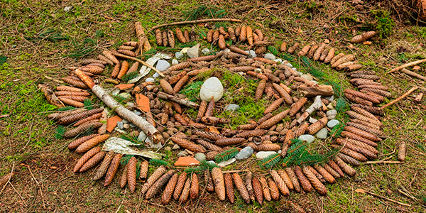 Los Lugares de Poder Una Fuente de Energía y Transformación